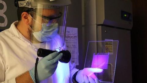 An Easier Way To Purify Specific Proteins