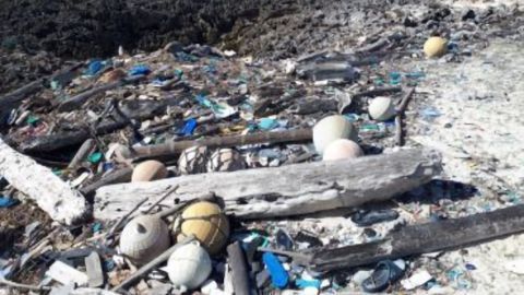 Largest Accumulation of Plastic Waste on Any Single Island