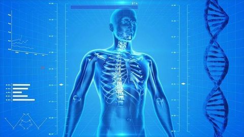 Gut Microbes and Heat Could Hold the Key to Stronger Bones