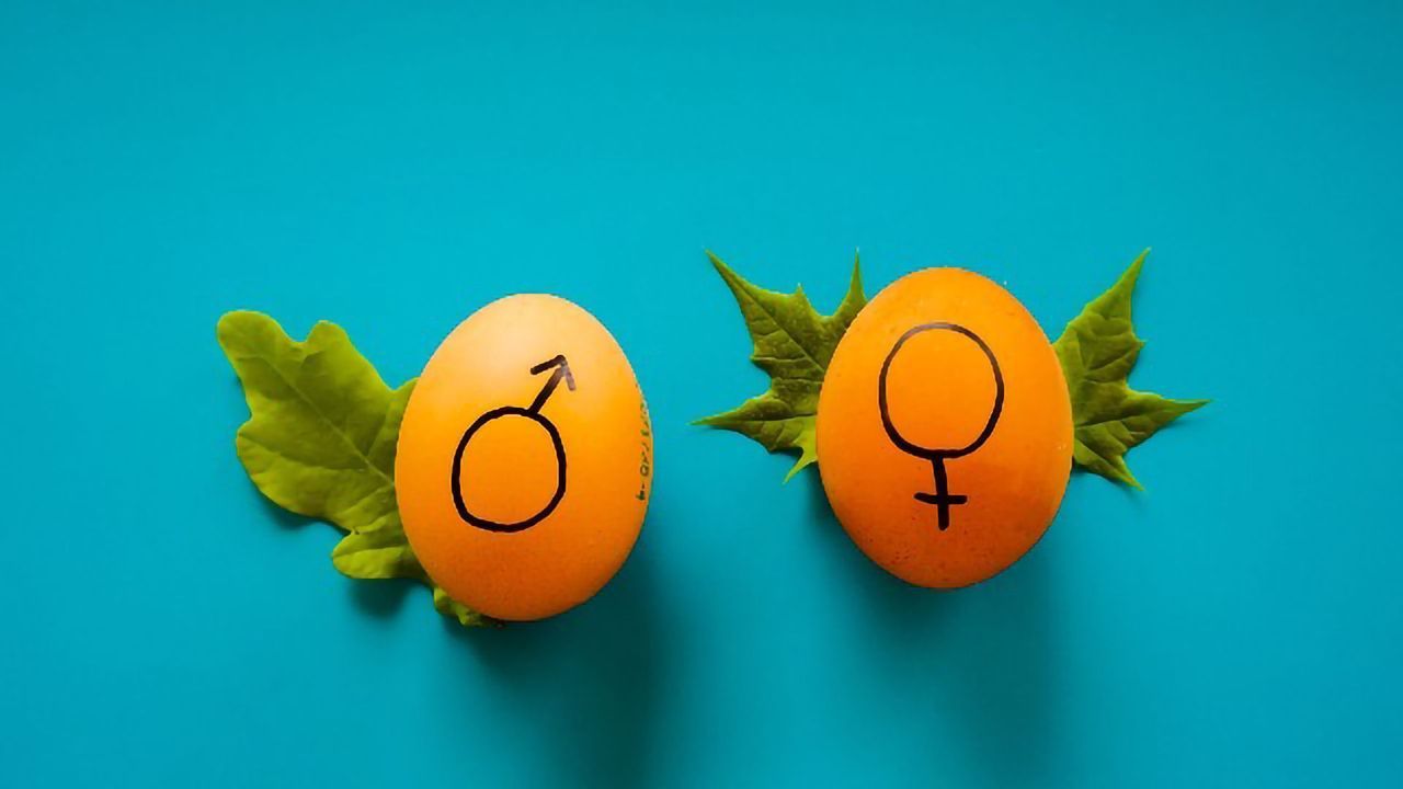 The Power of the Sexes: How Biological Sex Influences Gene Expression