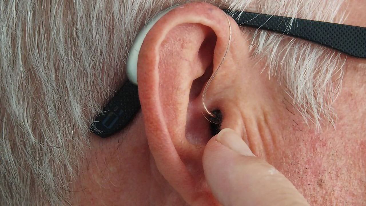 Protein’s Role in Hair Cell Development Is Identified