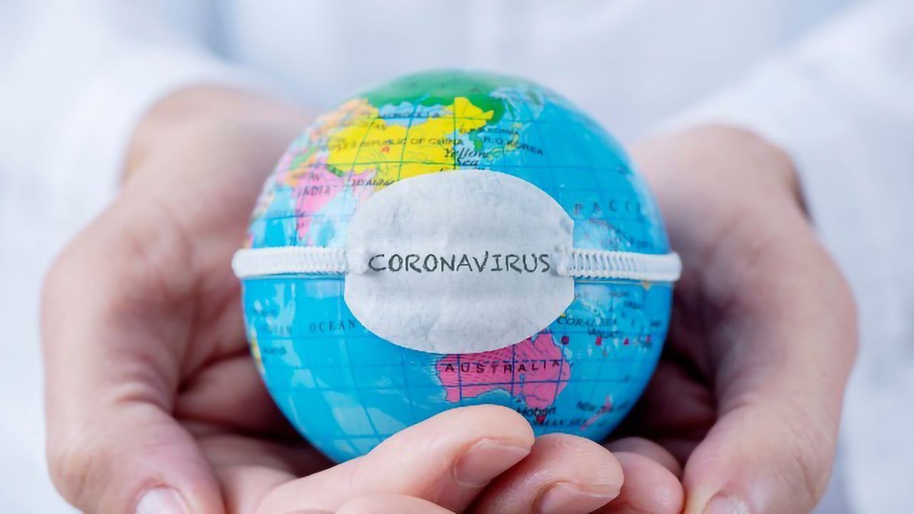 The Molecular Biology of Coronavirus Infection