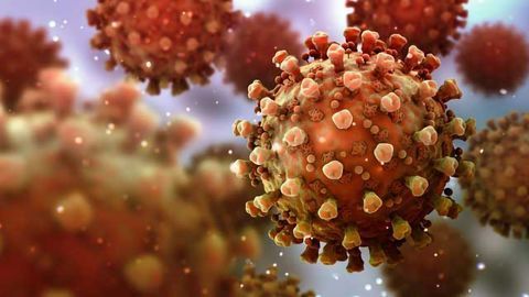 Tiny Antibody Component Neutralizes SARS-CoV-2 in Animal Models