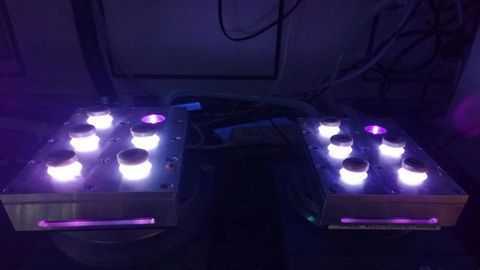 UV Radiation Also Modifies DNA Far Away From the Entry Point of Light