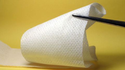 A New Approach to Understanding the Biology of Wound Healing