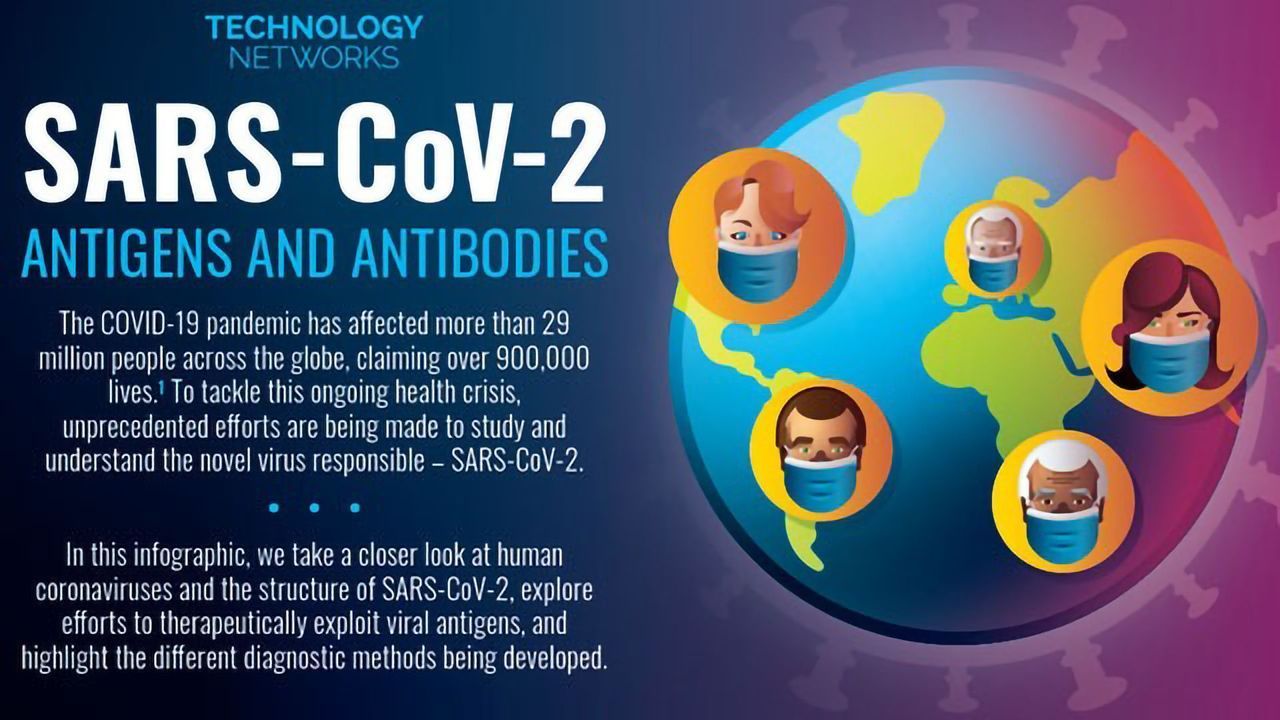 SARS-CoV-2 Antigens and Antibodies