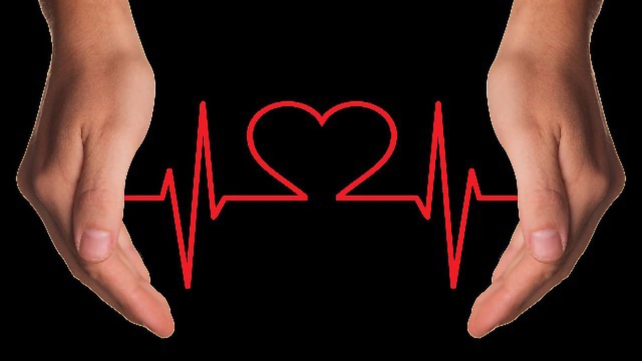 Understanding the Heart, One Cell at a Time