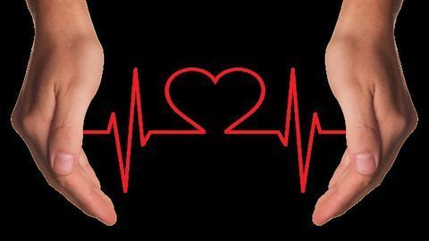 Understanding the Heart, One Cell at a Time