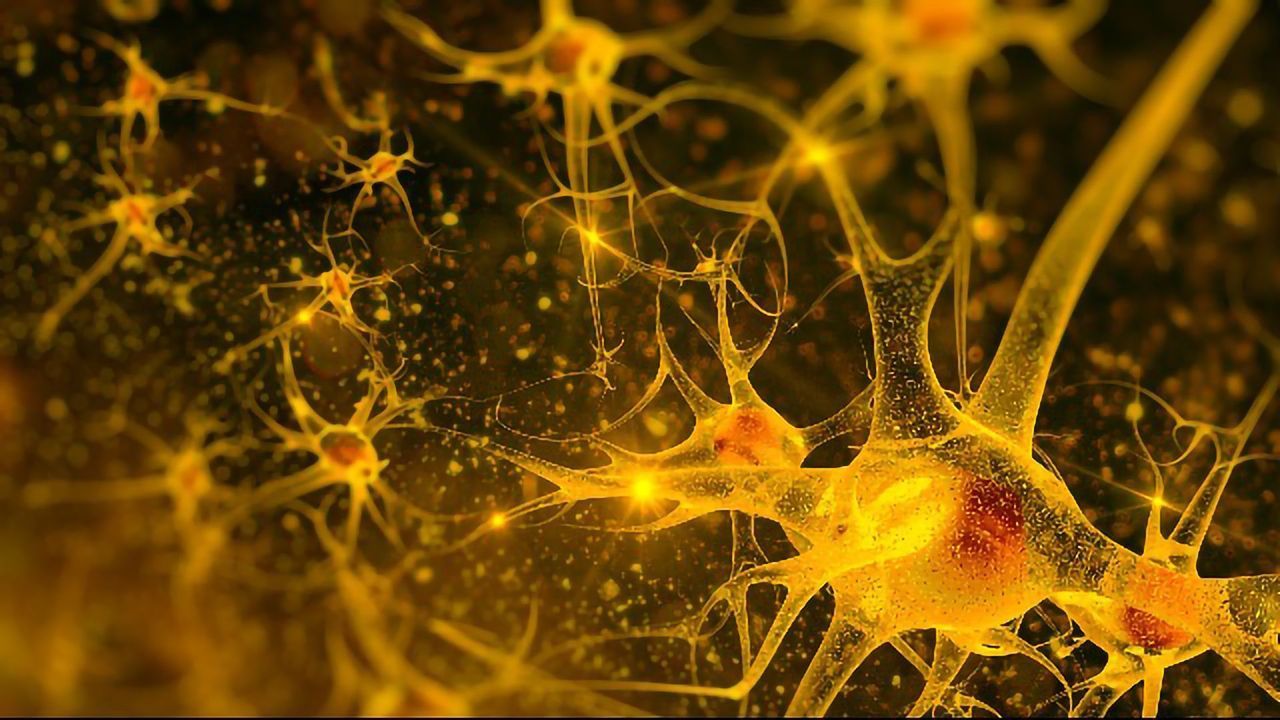 Smart Drug Delivery Tech May Help Treat Neurological Disorders