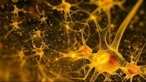 Smart Drug Delivery Tech May Help Treat Neurological Disorders