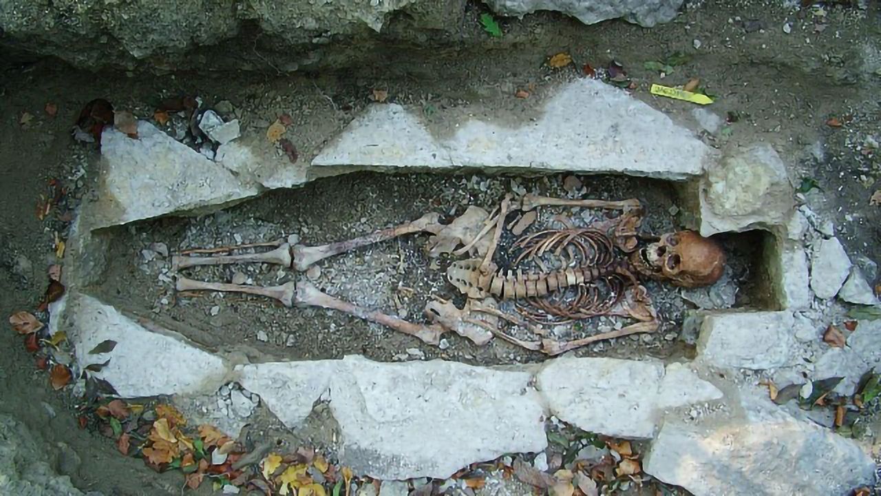 Largest Ever DNA Sequencing of Viking Skeletons “Rewrites” History