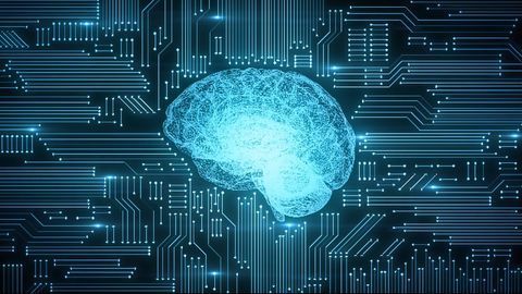 Combined Module Could Make for Higher-Performance Neural Networks