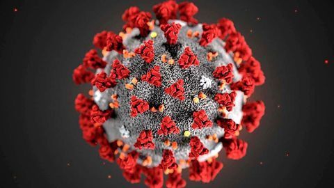 Structural Mechanism of Coronavirus Receptor Binding Revealed
