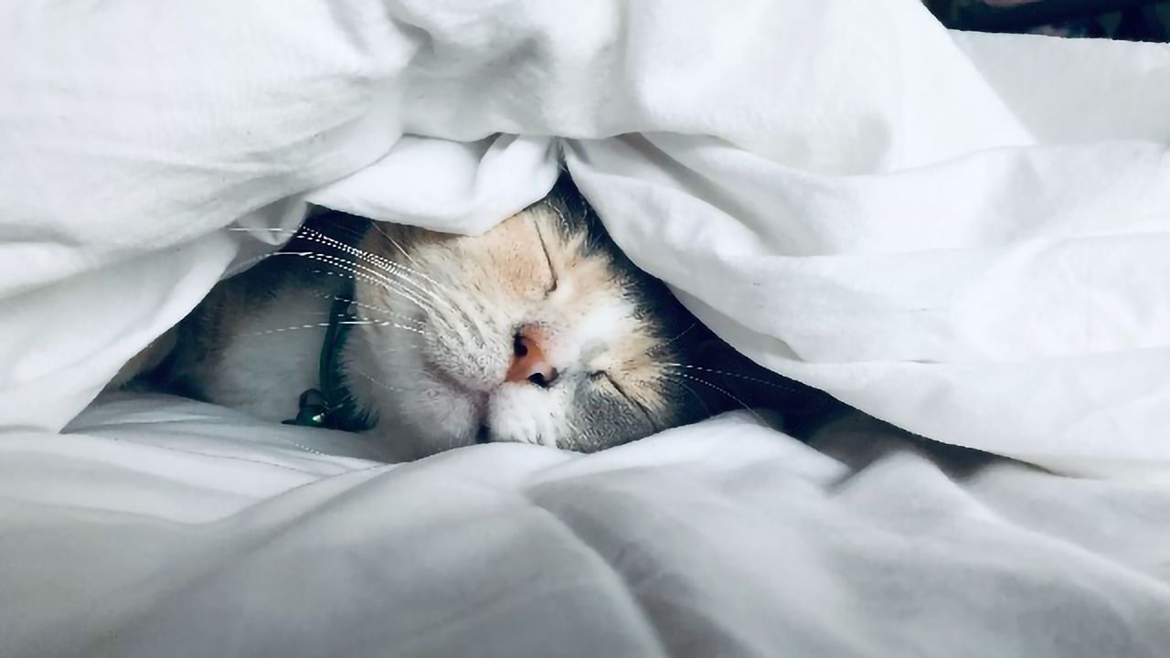 Shorter Sleep Leads to Less Joy From Positive Experiences