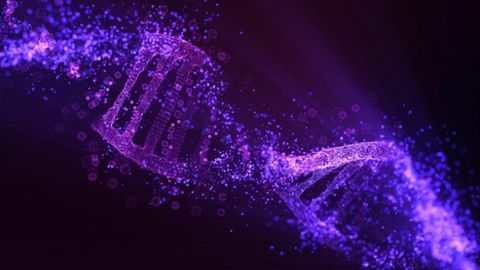 KRAS Inhibitor Sotorasib Achieves Durable Clinical Benefit in Early Trial