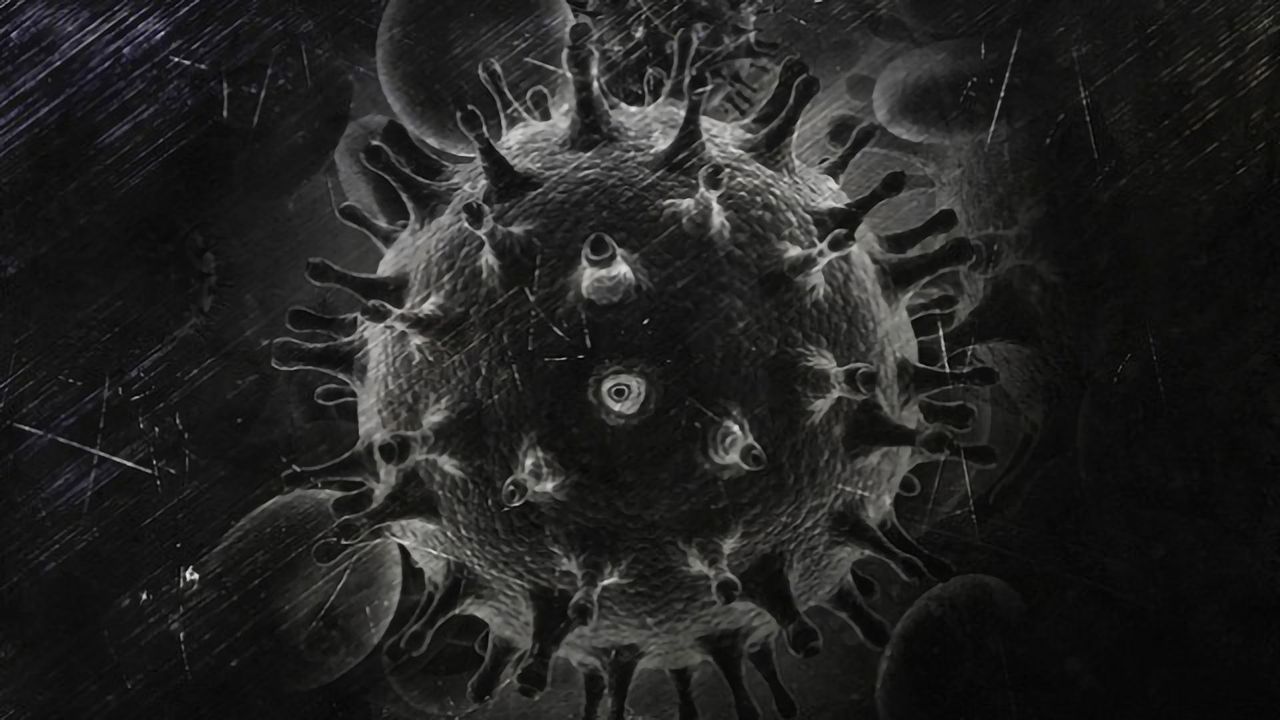 Dual CAR T Cell Immunotherapy Fights HIV Infection in Humanized Mice