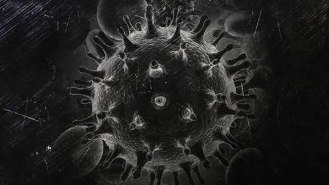 Dual CAR T Cell Immunotherapy Fights HIV Infection in Humanized Mice