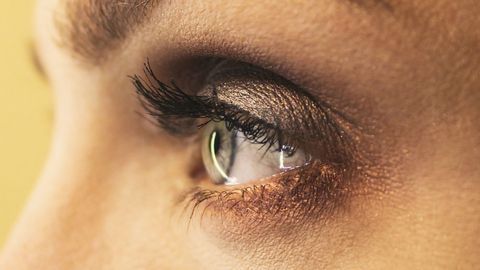 The Eye Adapts To Maintain Vision in Retinal Degenerative Disease
