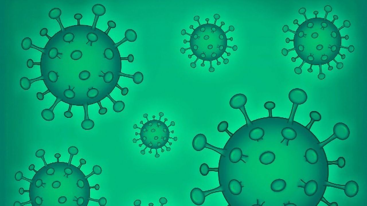 A Cheaper, Faster COVID-19 Test Developed