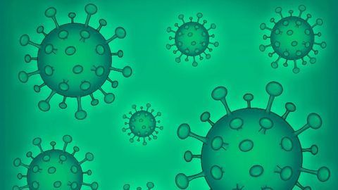 A Cheaper, Faster COVID-19 Test Developed
