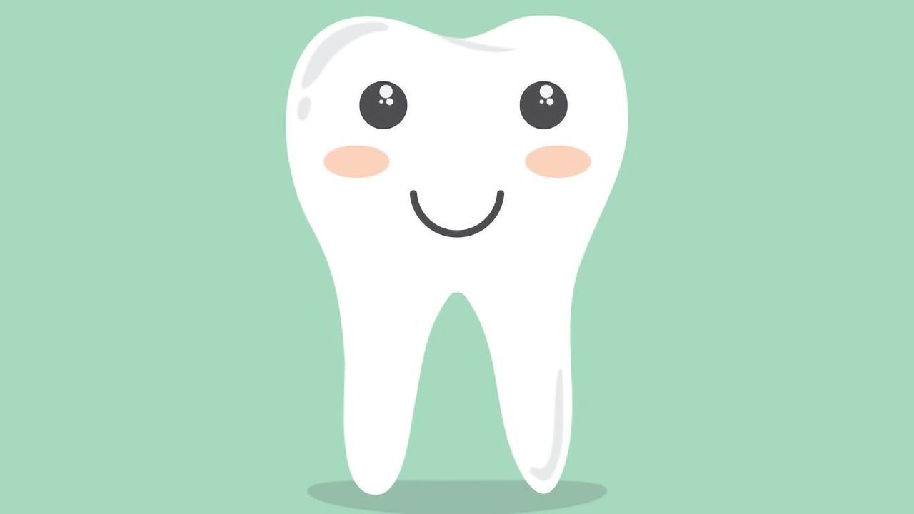 Dental Cell Type Atlas Produced