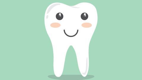 Dental Cell Type Atlas Produced