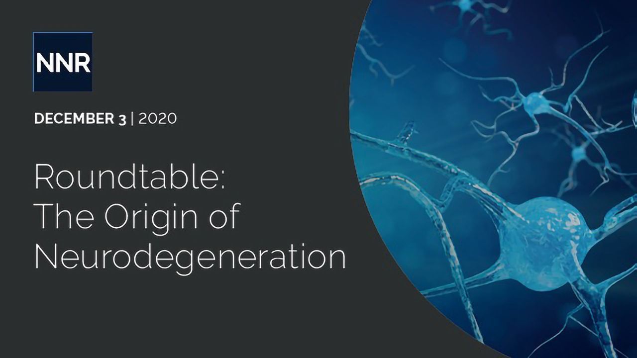 Roundtable: The Origin of Neurodegeneration