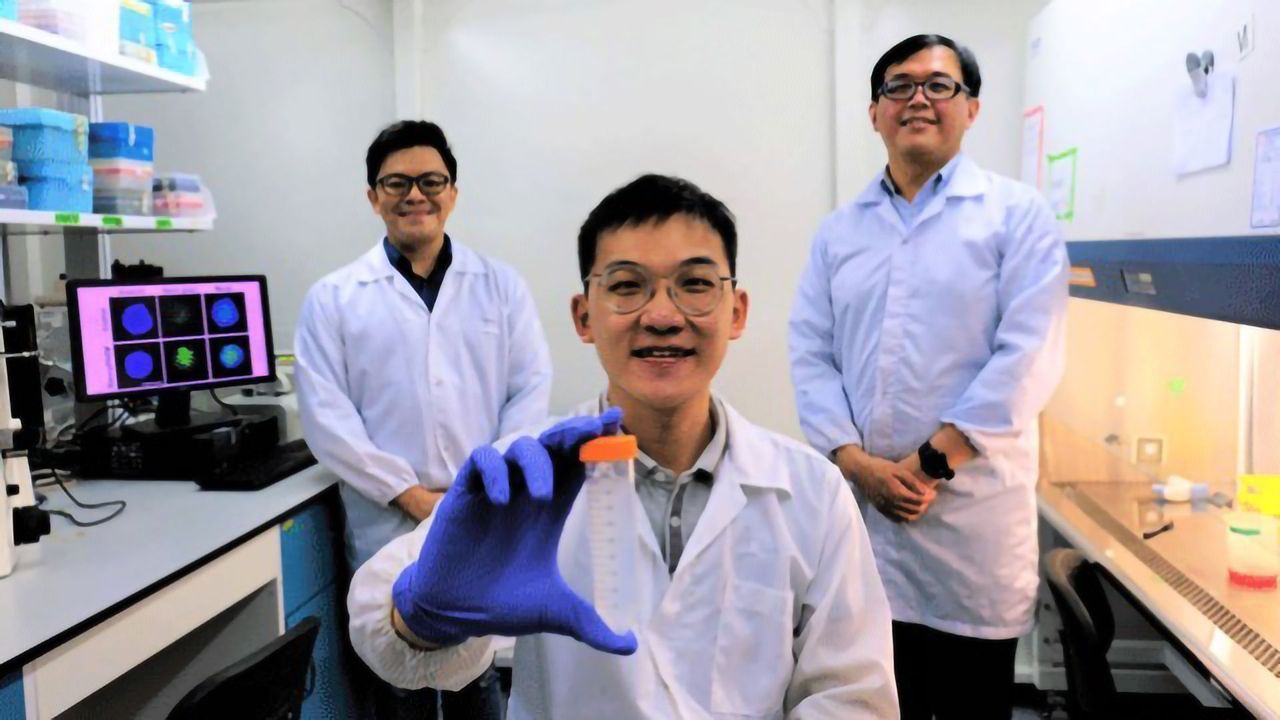 Nanoparticle “Trojan Horse” Triggers Cancer Cells To Self-Destruct