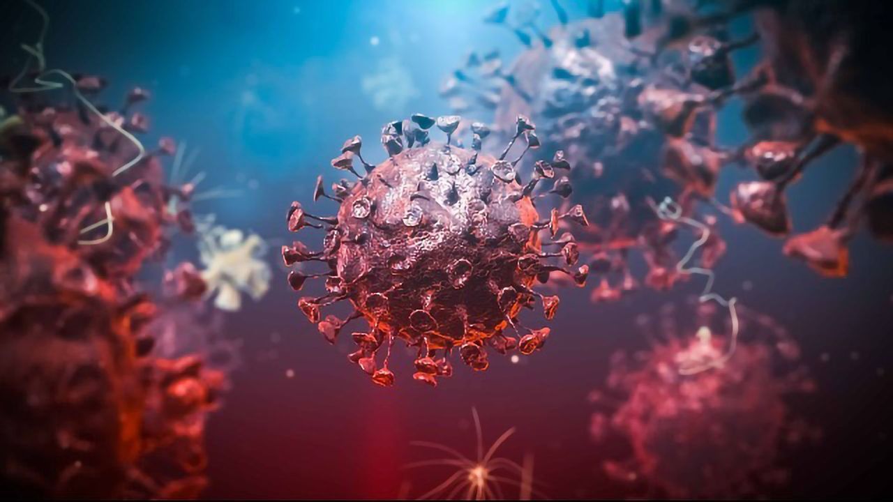 SARS-CoV-2 Interactome Reveals Likely Molecular Mechanisms of Pathogenesis