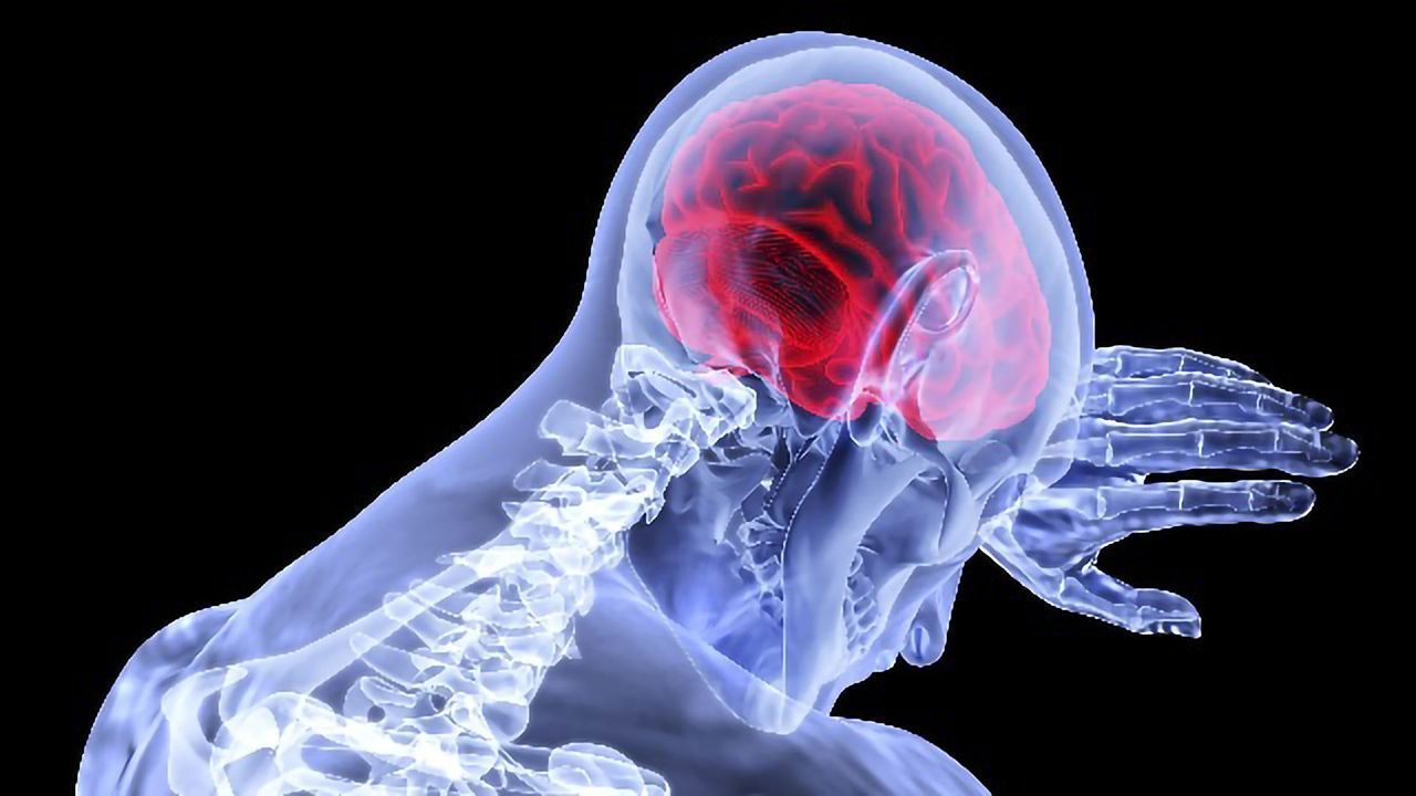 Researchers Discovered New Pathway in TDP-43 Related Dementias