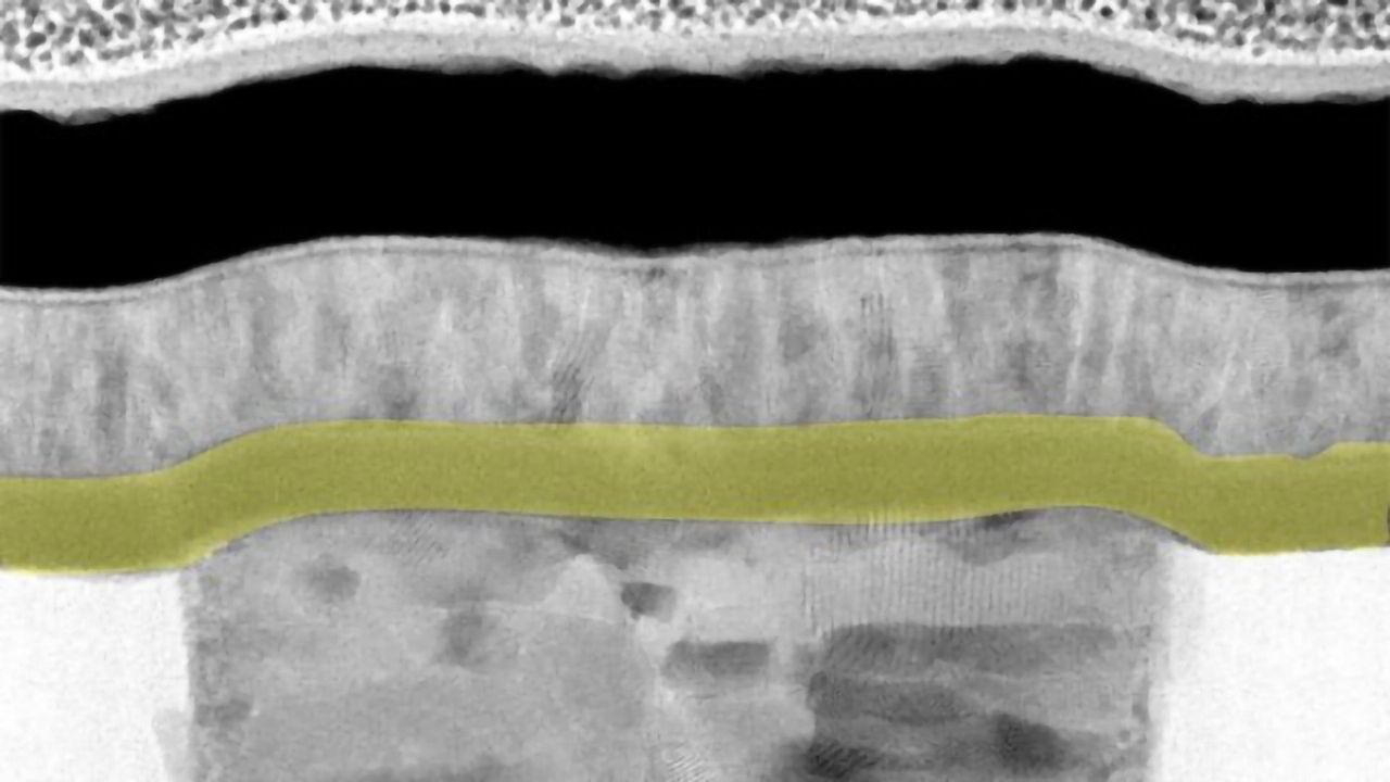 New Brain Cell-Like Nanodevices Work together to Identify Mutations in Viruses