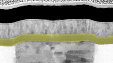 New Brain Cell-Like Nanodevices Work together to Identify Mutations in Viruses
