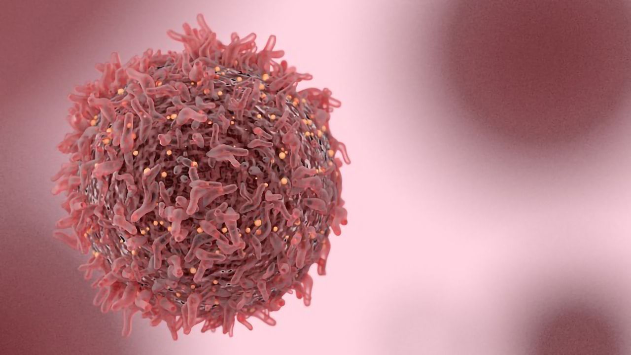 Circular RNA Molecule ciRS-7 Not Found in Cancer Cells After All
