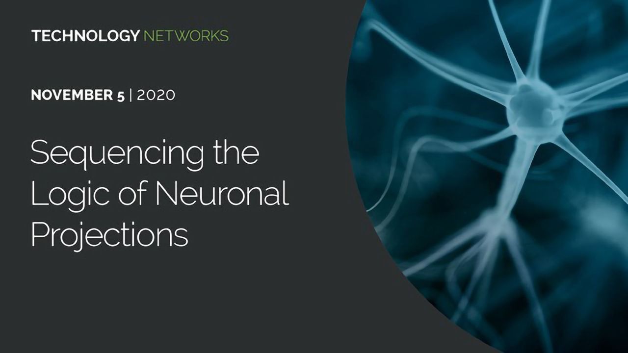 Sequencing the Logic of Neuronal Projections