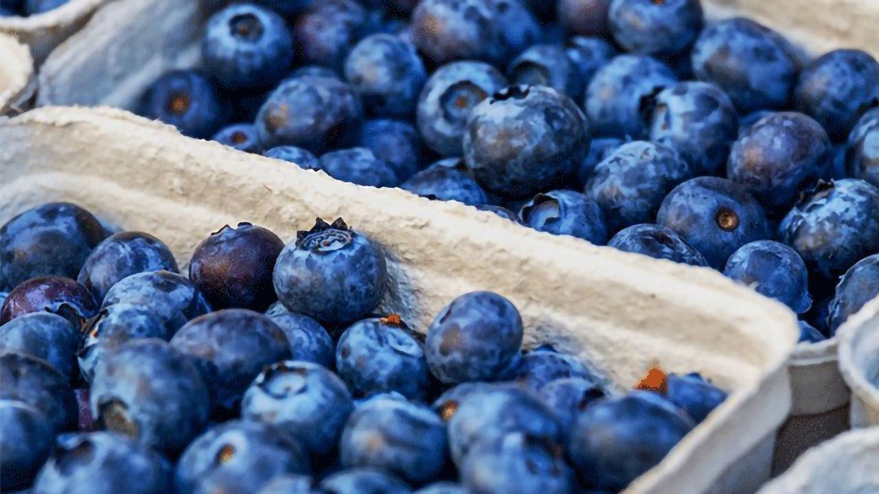 Compound Found in Blueberries Could Help To Treat Inflammatory Diseases