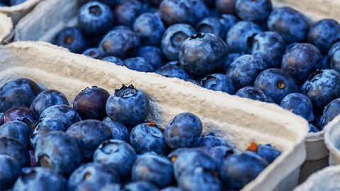 Compound Found in Blueberries Could Help To Treat Inflammatory Diseases