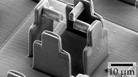 "Stretching Rack" for Cells Developed