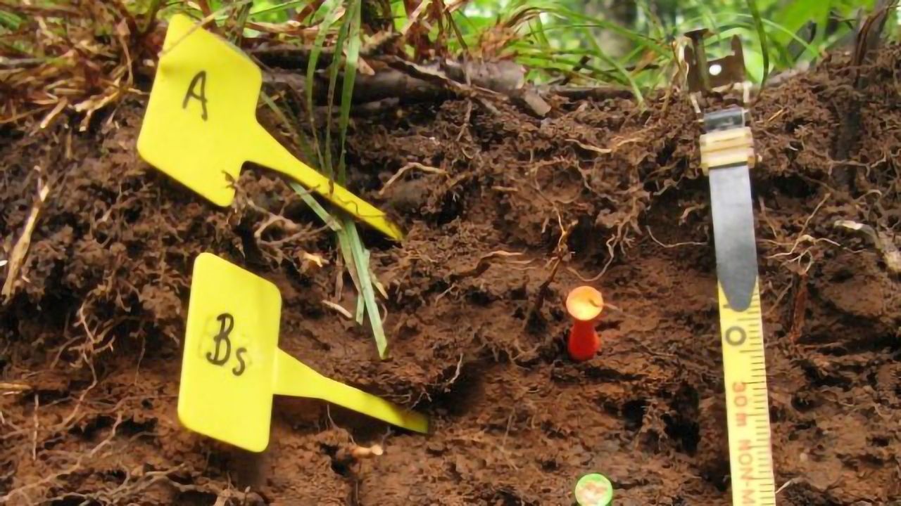 Soil Analysis Technique Could Aid Climate Change Predictions