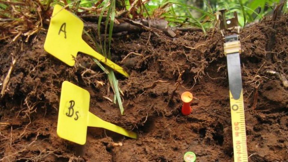 Soil Analysis Technique Could Aid Climate Change Predictions content piece image