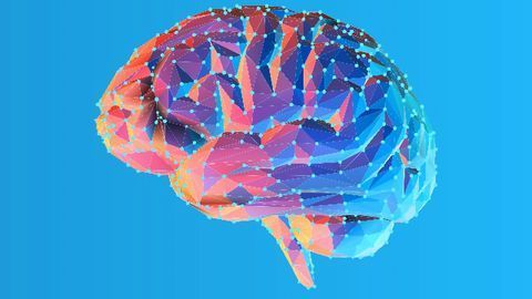 160 Genes Linked to Brain Shrinkage in 45,000-Person Study