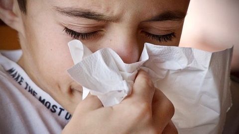 Model for Anticipating Viral Transmission Could Help To Optimize Disease Control Measures