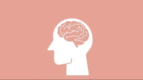 Brain Wiring Mutations Could Contribute to 14% of Cerebral Palsy Cases