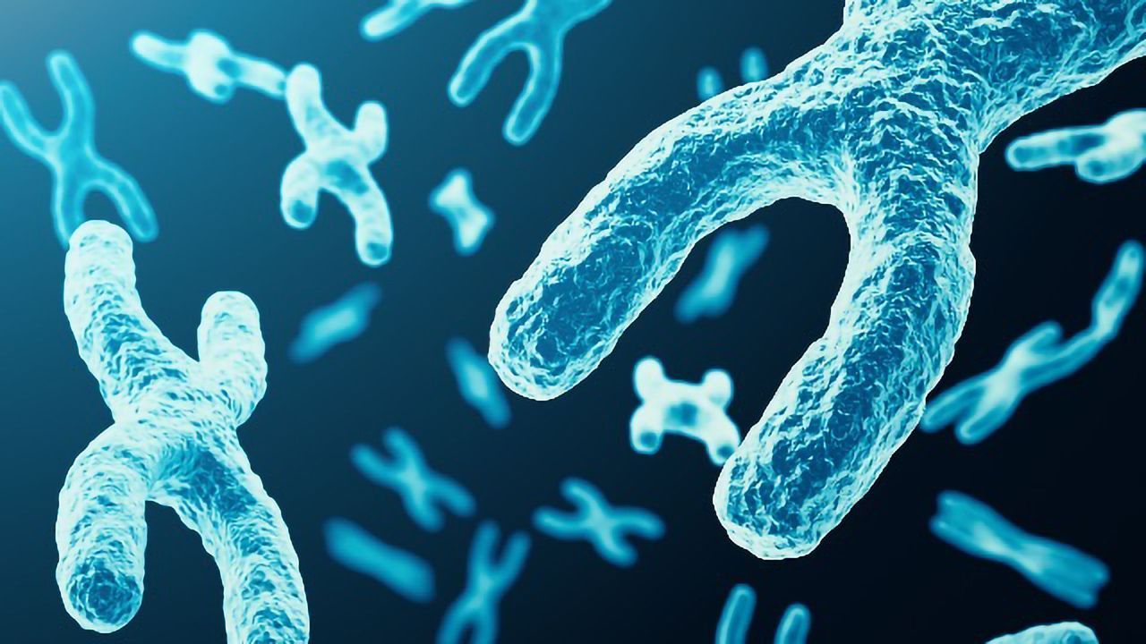 Scientists Develop Web App for Comparing Genomes
