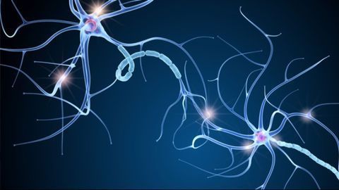 Understanding How Cisplatin Chemotherapy Causes Neuronal Damage