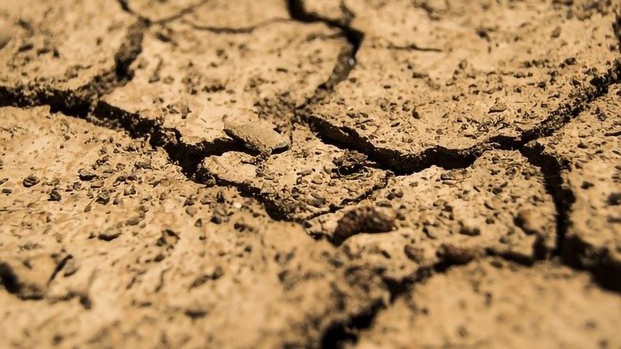 Microbial Omics Could Inform Climate Change Models