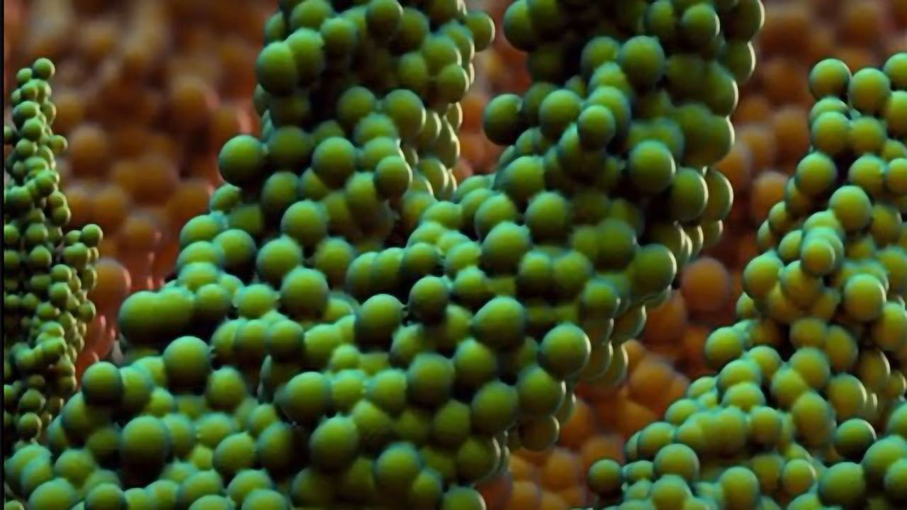 Magnetic "T-Budbots" Kill and Clean Biofilms