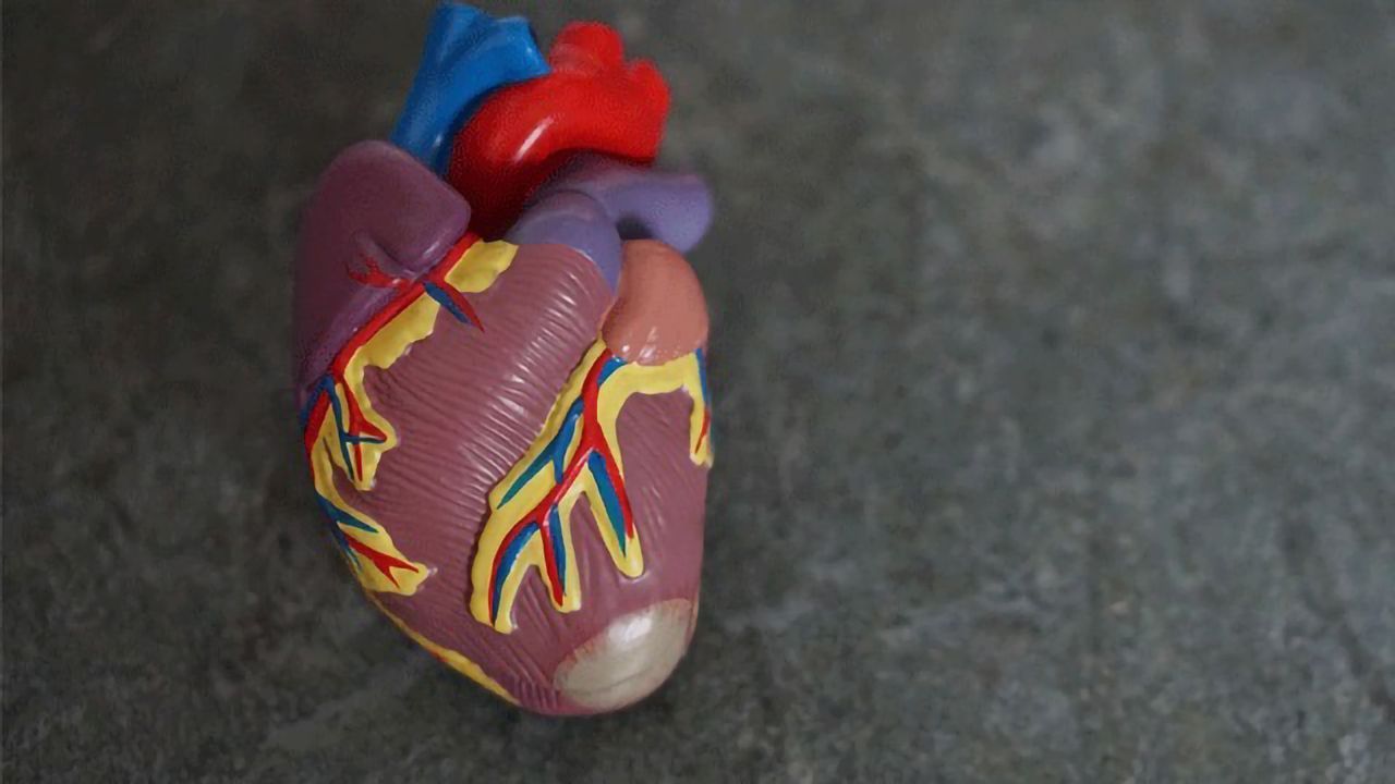 Researchers Discover Cells That Heal Cardiac Damage After Infarction