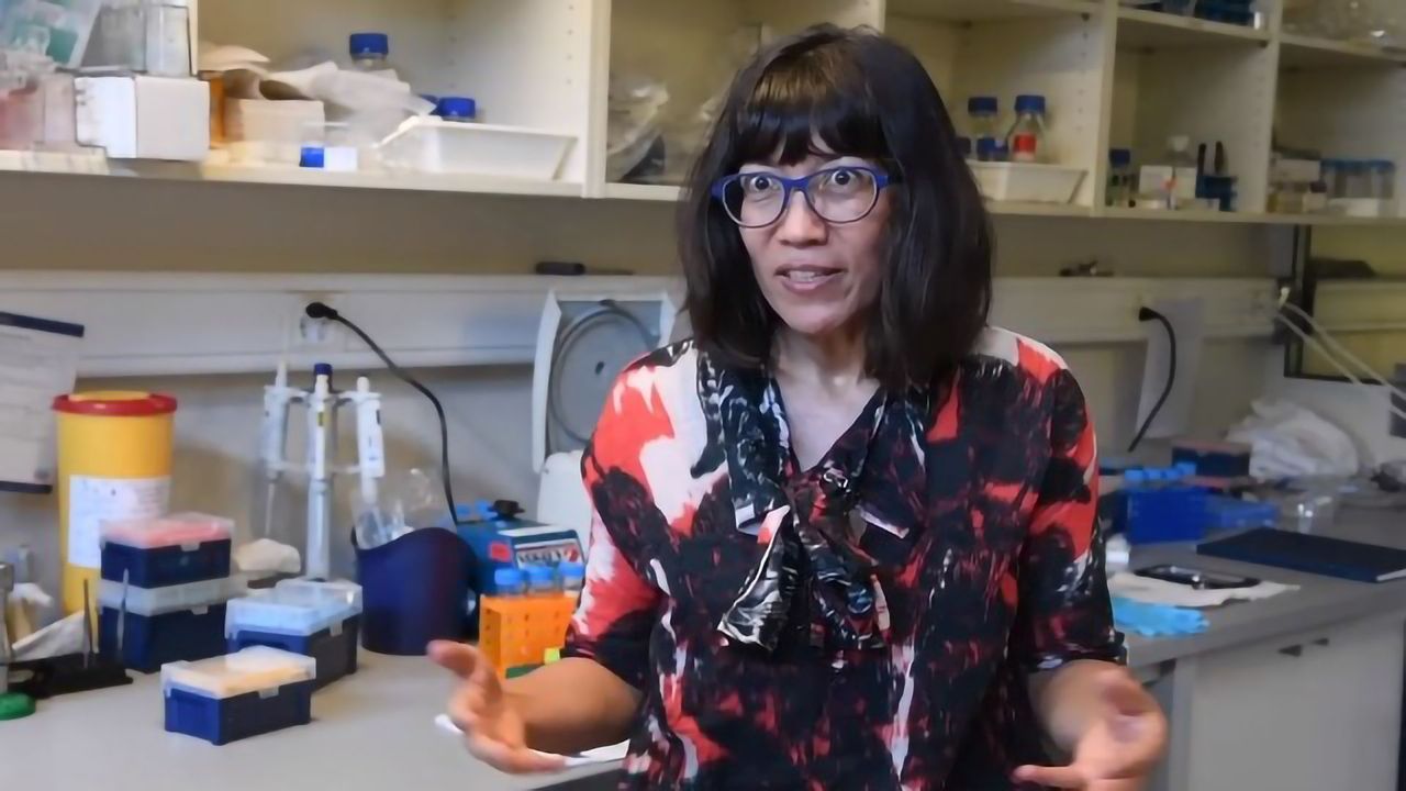 Inside Mitochondria and Their Fascinating Genome
