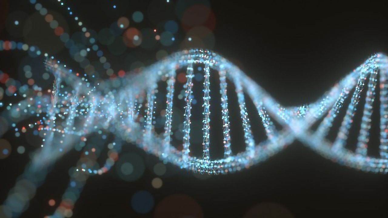 Genetics, Obesity and the Brain