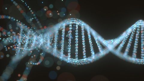Genetics, Obesity and the Brain